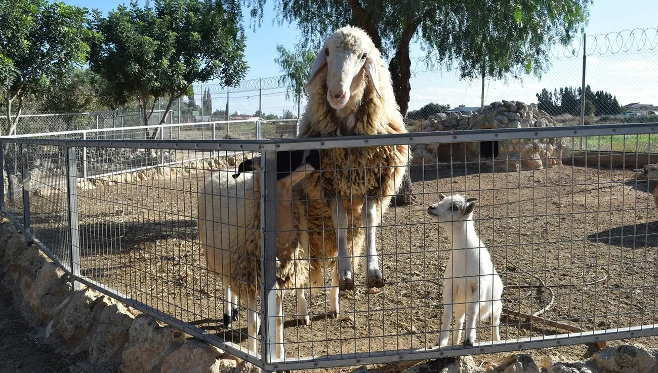 MELIOS ZOO PARK (10)