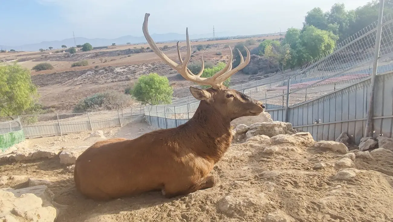 MELIOS ZOO PARK (18)