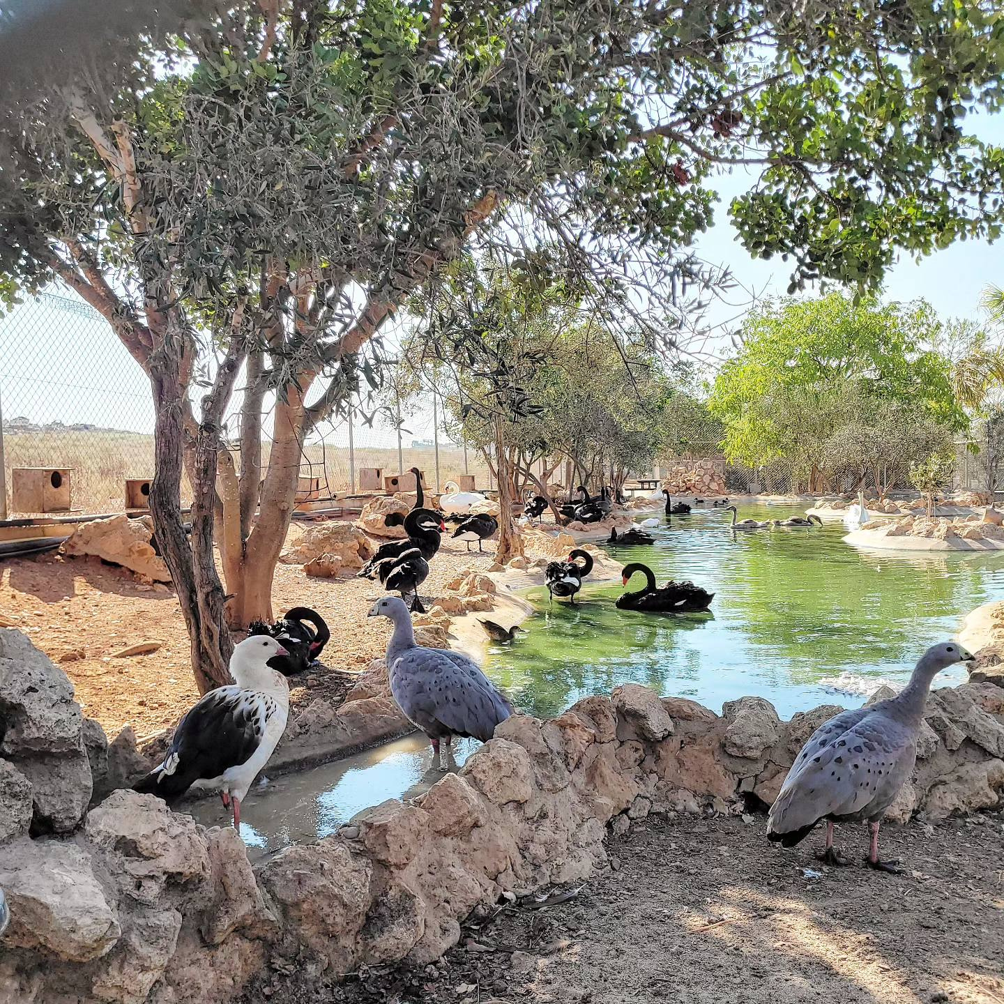 MELIOS ZOO PARK (20)