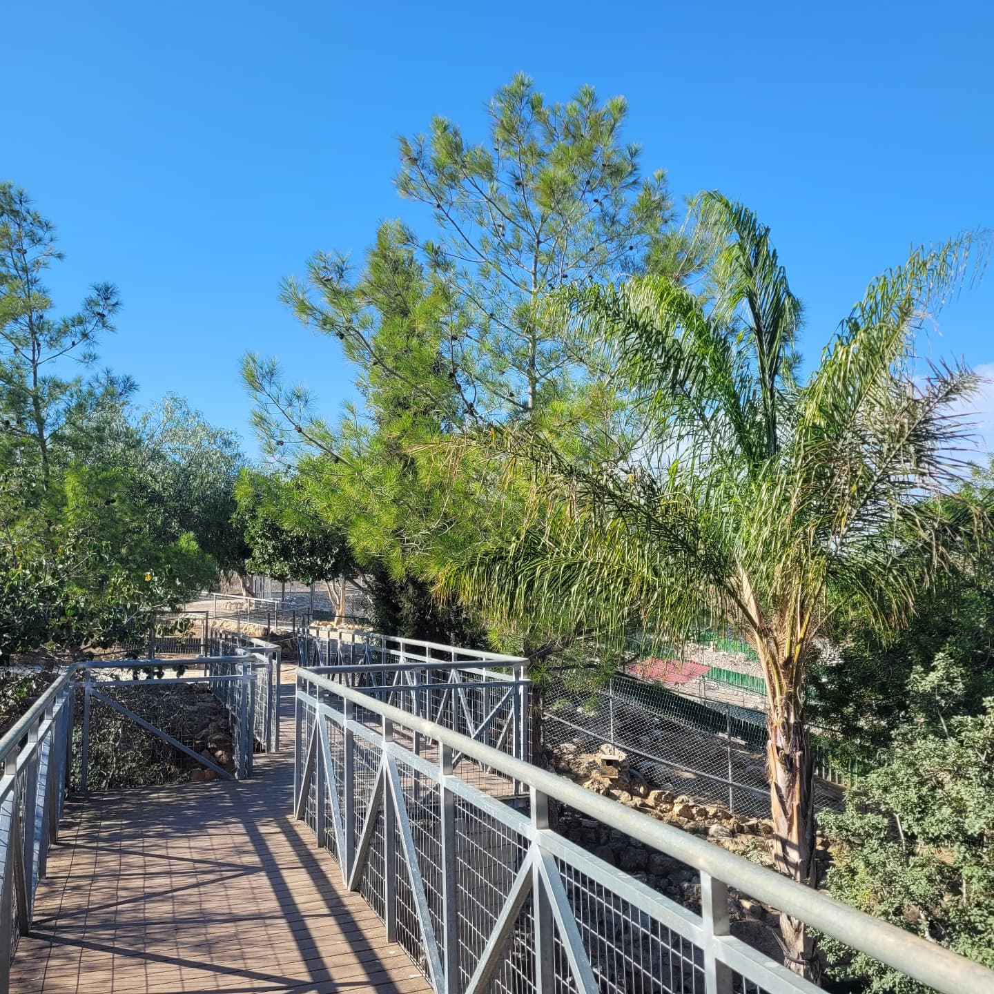 MELIOS ZOO PARK (21)