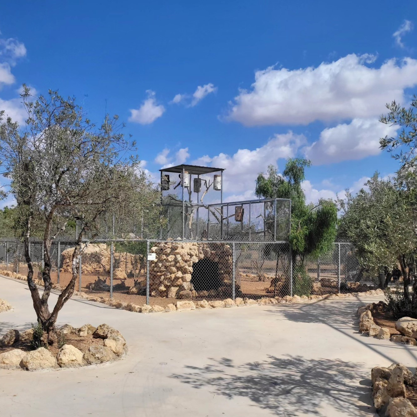 MELIOS ZOO PARK (31)