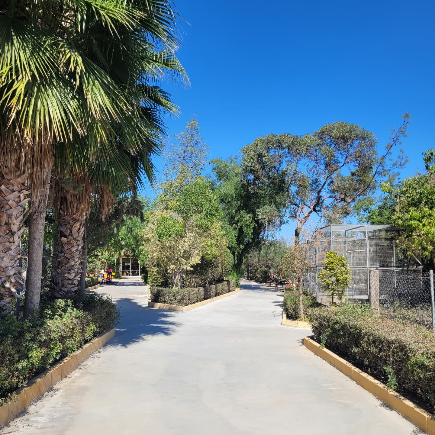 MELIOS ZOO PARK (32)