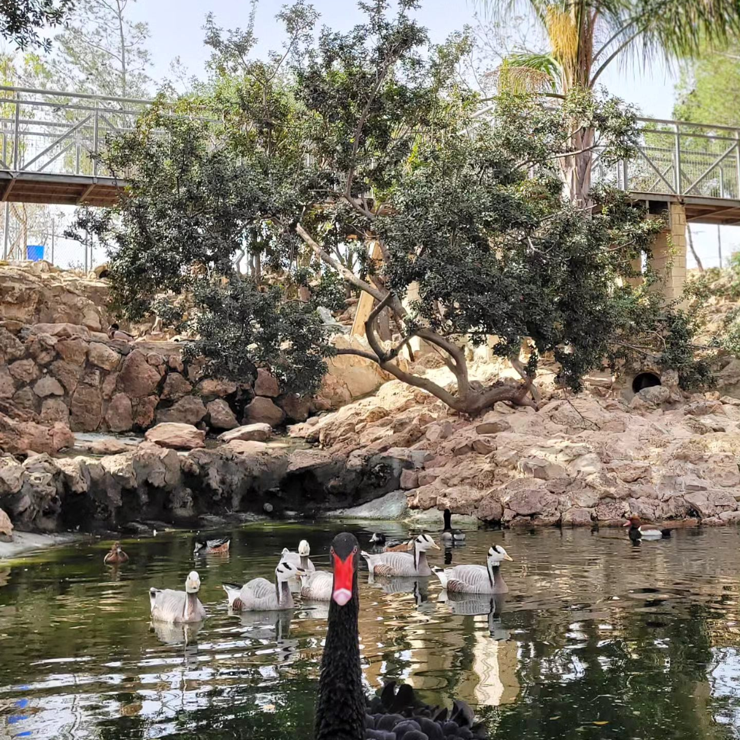 MELIOS ZOO PARK (39)