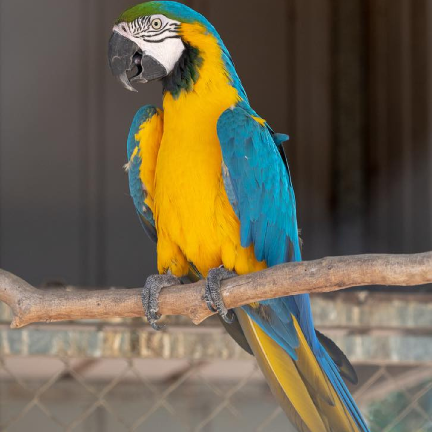 MELIOS ZOO PARK (40)