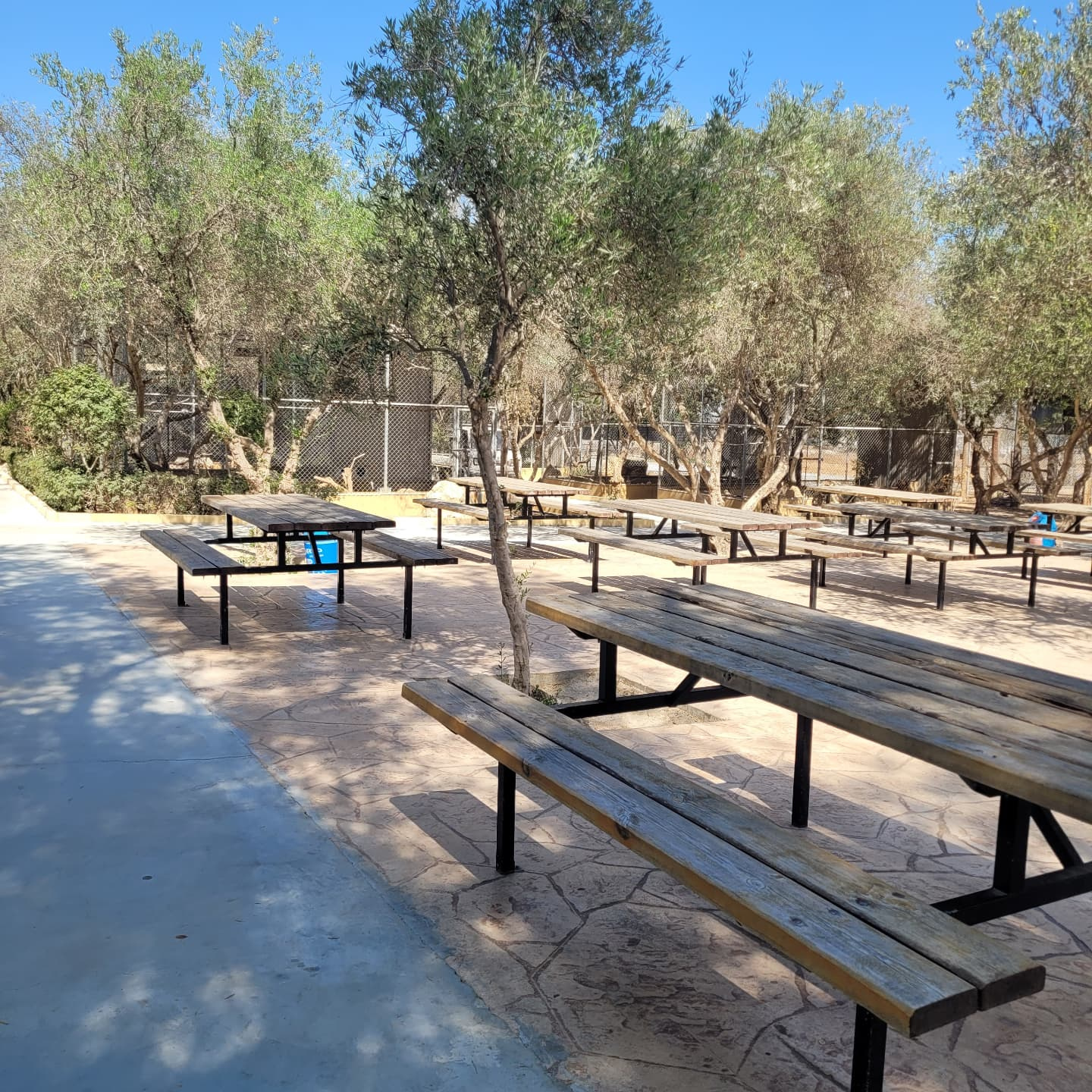 MELIOS ZOO PARK (41)