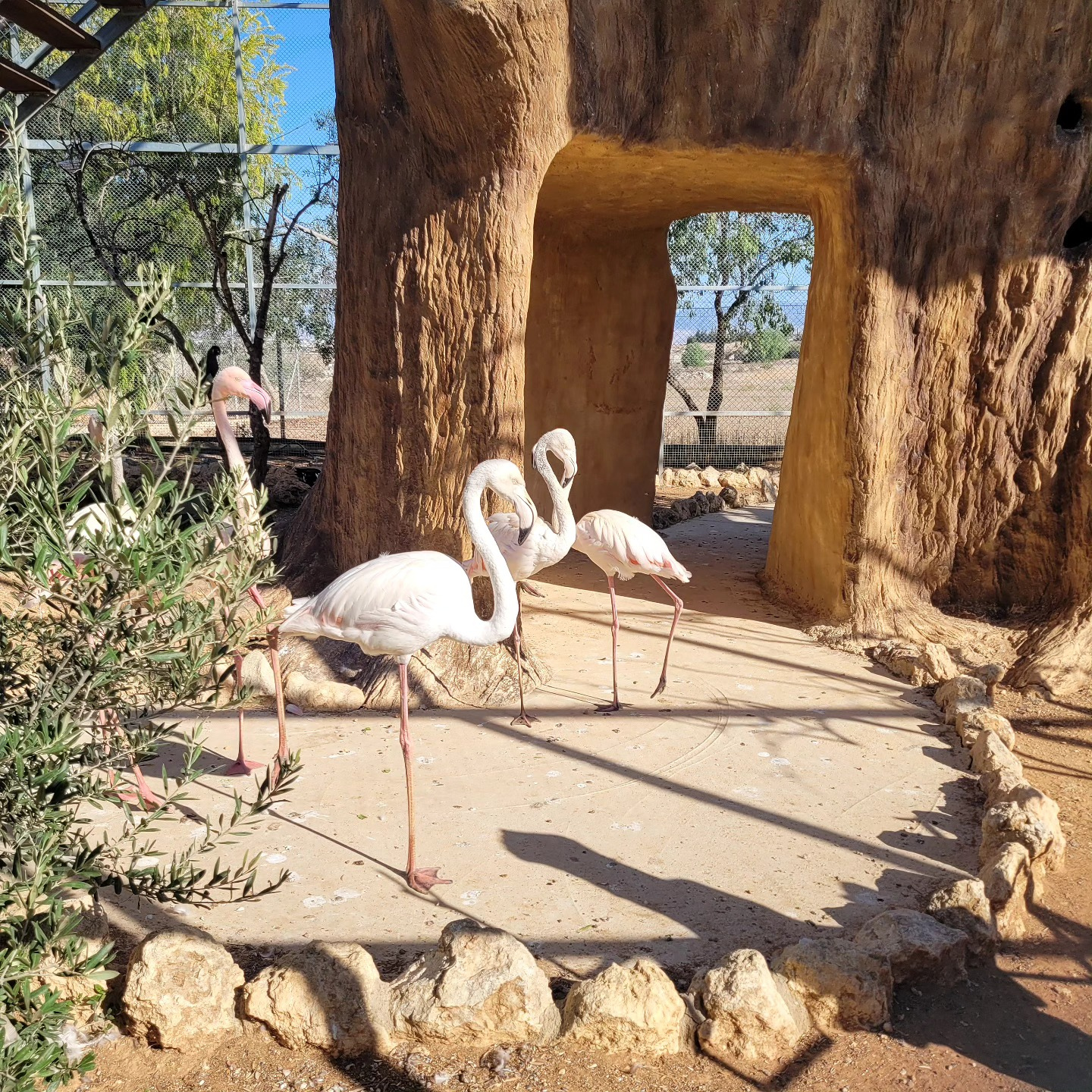 MELIOS ZOO PARK (42)